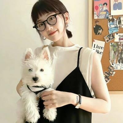 大内医探海报